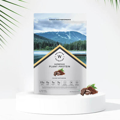 Wellbeing Nutrition Superfood Plant Protein | Italian Café Mocha