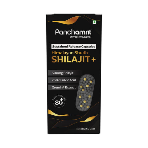 Panchamrit Shilajit 500 mg Capsules 60