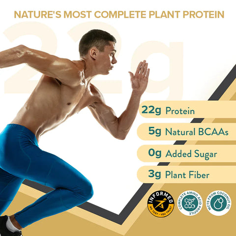 Wellbeing Nutrition Superfood Plant Protein | Italian Café Mocha