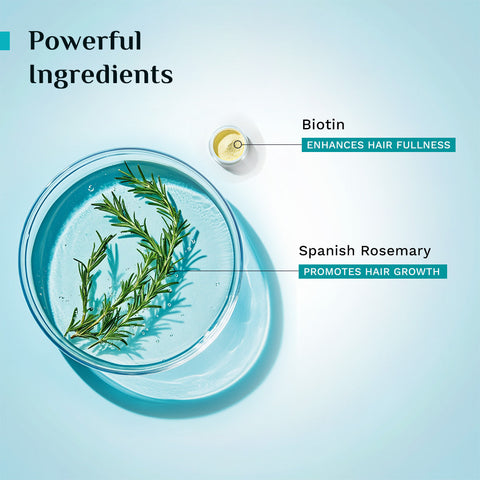 Pilgrim Spanish Rosemary & Biotin Hair Growth Oil- 100 ml