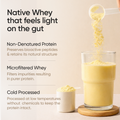 Wellbeing Nutrition Whey Blend - Mango 1 Kg (28 servings)