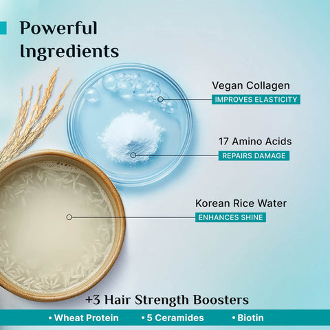 Pilgrim Korean Rice Water & Collagen Advanced Damage Repair Conditioner