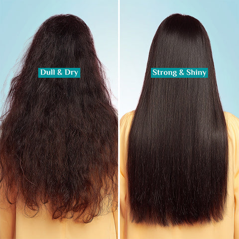 Pilgrim Argan Oil Hair Mask with White Lotus & Camellia- 200 ml