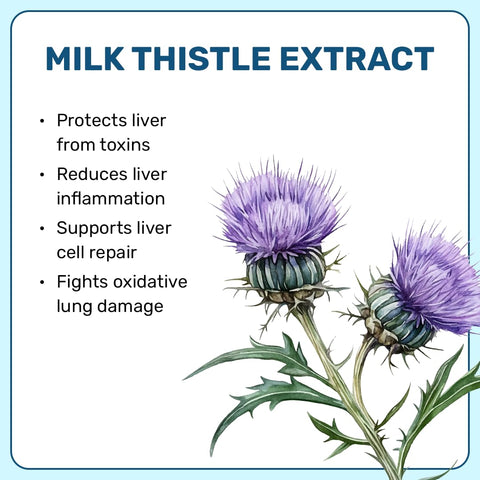 What'S Up Wellness Lung & Liver Detox Supplement Capsules 30