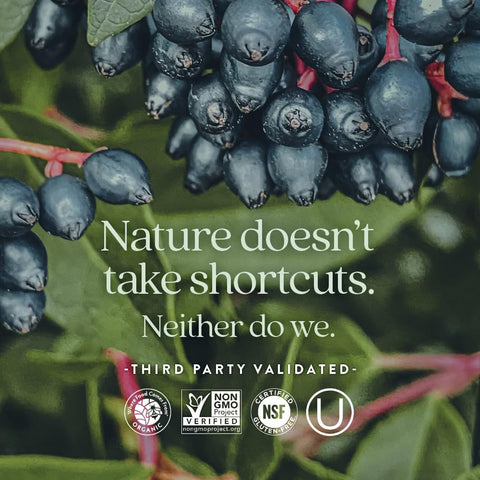 New Chapter Fermented Zinc Complex Capsules 60S