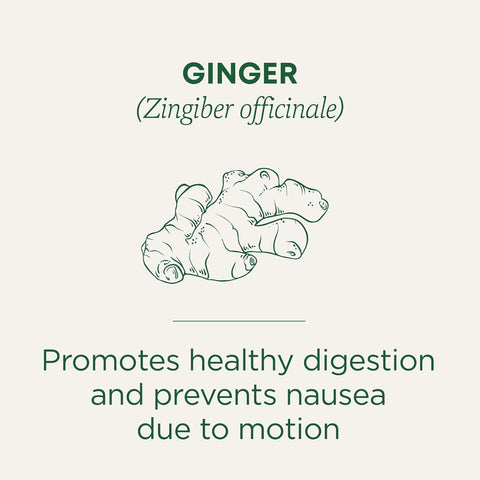 Traditional Medicinal Ginger, 16 Teabags