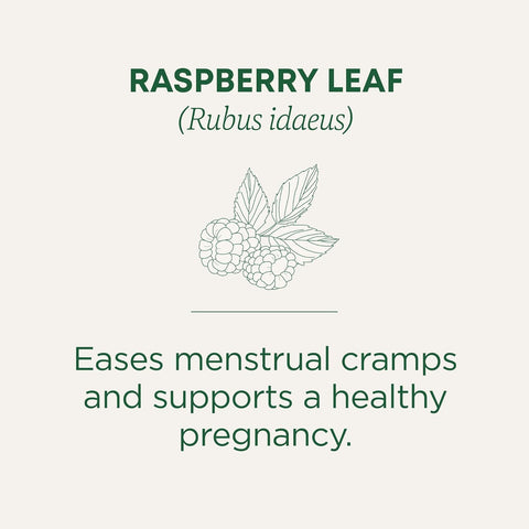 Traditional Medicinal Raspberry Leaf, 16 Teabags