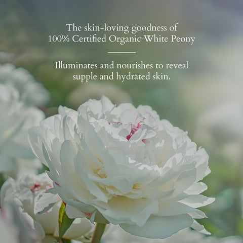 LOTUS Organics+ Precious Brightening Creme 50g -