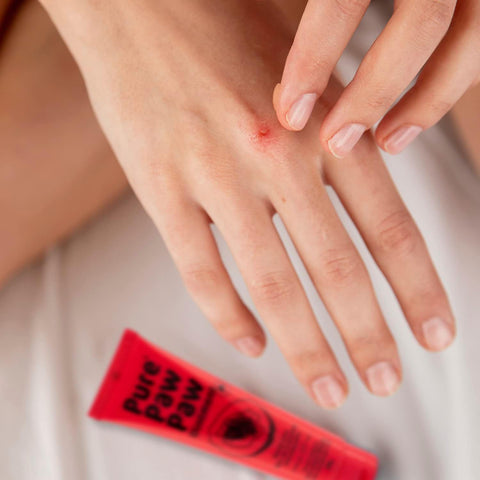 PURE PAW PAW OINT LIP BALM 25G