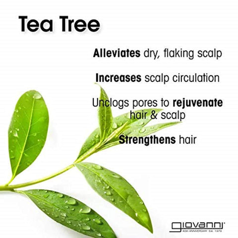 Giov Tea Tree Triple Treat Shampoo 8.5oz: 13008