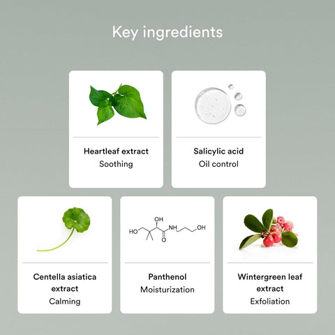 Abib Acne Foam Cleanser Heartleaf Foam 150ml