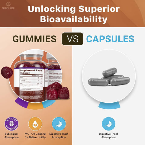 Purify Life Sugar Free Lions Mane Gummies 60