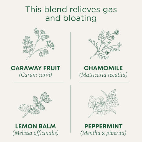 Traditional Medicinal Gas Relief, 16 Teabags