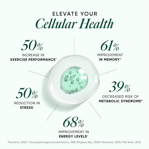 Wellbeing Nutrition Ultra Strength Magnesium+ 60 Capsules in a bottle