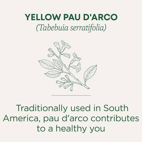 Traditional Medicinal Pau D Arco, 16 Teabags