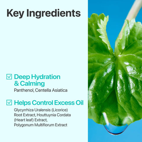 Numbuzin Pure-Full Calming Herb Toner