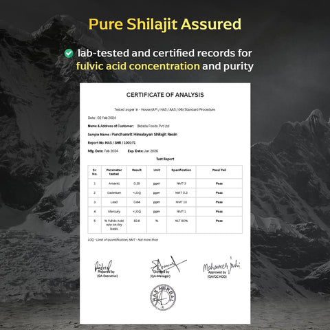 Panchamrit Himalayan Shudh Shilajit Resin 20gÂ