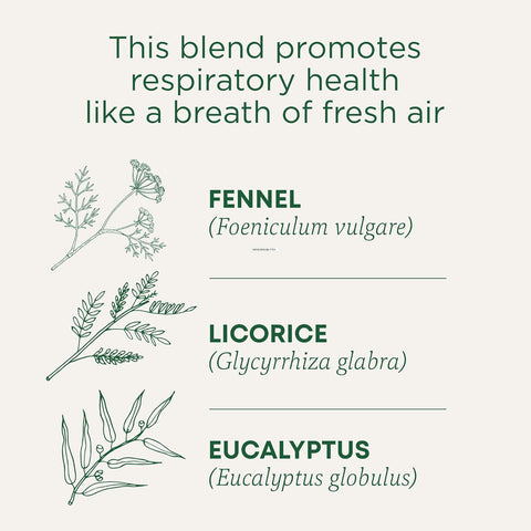 Traditional Medicinals Tea Breathe Easy, 16 Ct