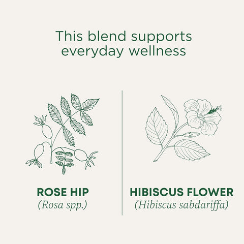 Traditional Medicinal Rose Hips With Hibiscus, 16 Teabags