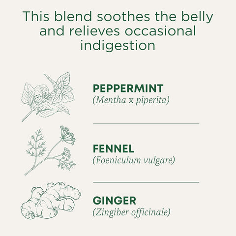Tm Belly Comfort 16 Tea