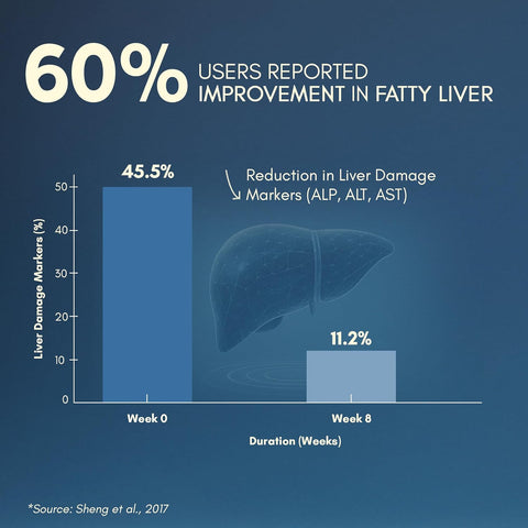 Rasayanam Liver Detox Supplement 60 Tablets