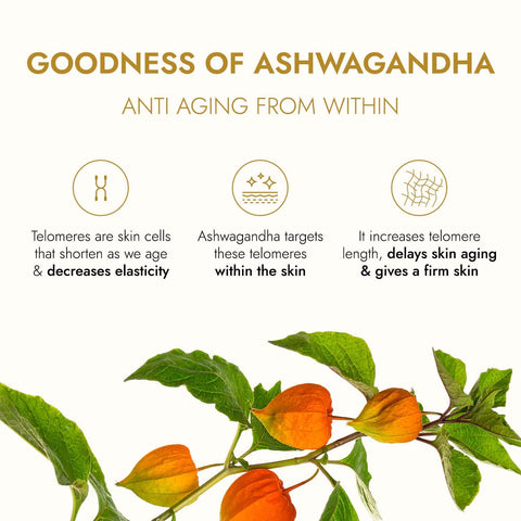 Kapiva Ashwagandha Anti-Aging Face Oil (30ml) | Plant Based Retinol | 100% Ayurvedic Oil for Wrinkles & Fine Lines | With Bakuchi Oil, Herbal Actives