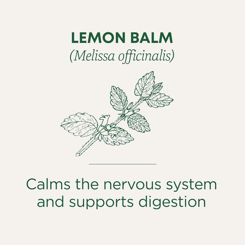 Traditional Medicinal Lemon Balm, 16 Teabags