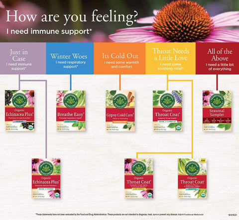 Traditional Medicinals Teas Organic Echinacea Plus Elderberry Tea, Elder 16 Bags (Pack Of 1)