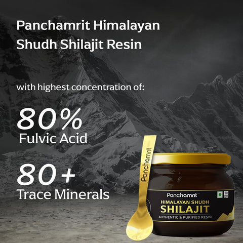 Panchamrit Himalayan Shudh Shilajit Resin 20gÂ