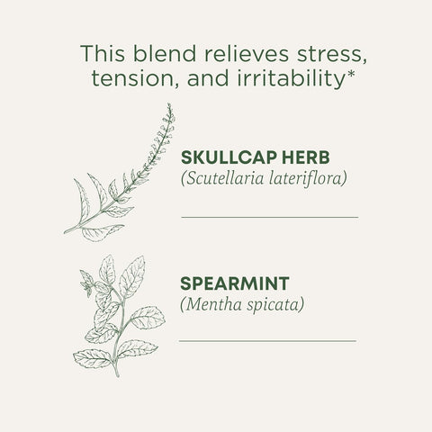 Traditional Medicinals Tea Cinnamon Stress Ease Organic, 16 Ct