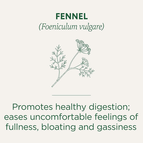 Traditional Medicinal Fennel Organic, 16 Teabags