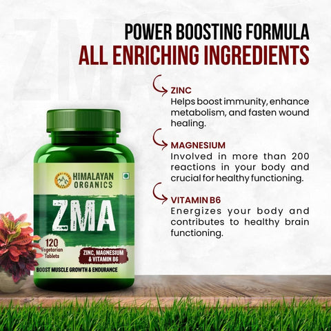 Himalayan Organics ZMA (Zinc, Magnesium & Vitamin B6) 120 Tablets