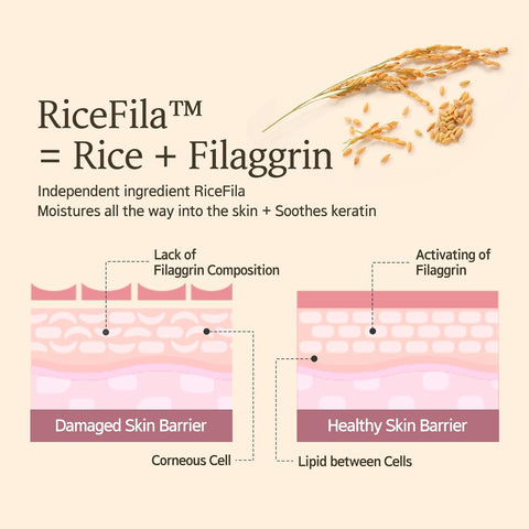 Hayejin RiceFila Oil Toner 150 ml