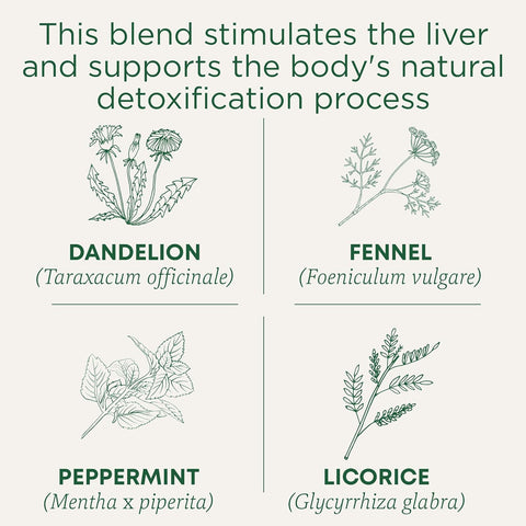 Traditional Medicinal Everyday Detox Dandelion, 16 Teabags