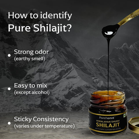 Panchamrit Himalayan Shudh Shilajit Resin 20gÂ