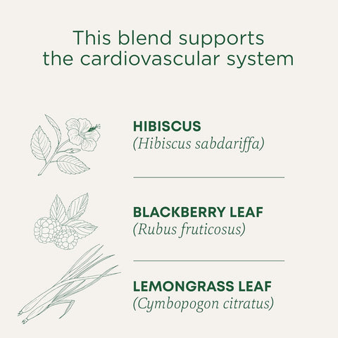 Traditional Medicinal Hibiscus, 16 Teabags