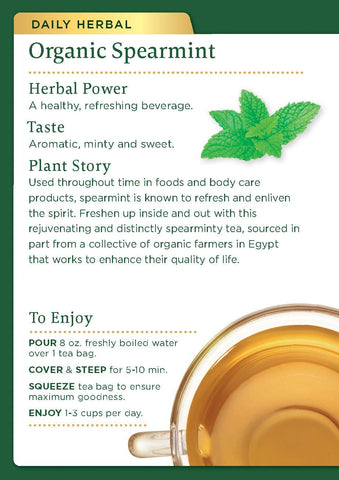 Traditional Medicinal Spearmint, 16 Teabags