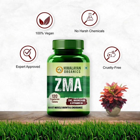 Himalayan Organics ZMA (Zinc, Magnesium & Vitamin B6) 120 Tablets