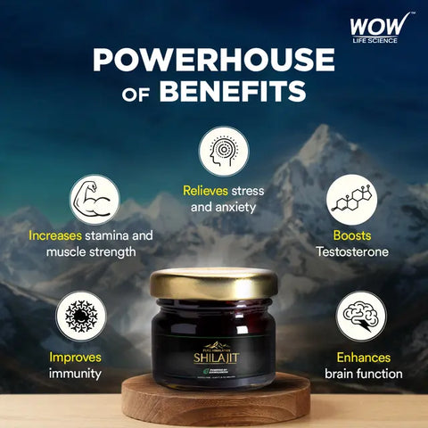 Wow Life Science Pure Himalayan Shilajit Resin | Powered By Ashwagandha - 20 G