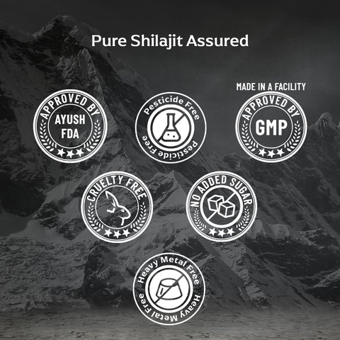 Panchamrit Himalayan Shudh Shilajit Resin 20gÂ