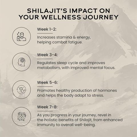 Wellbeing Nutrition Pure Himalayan Shilajit Gold Resin