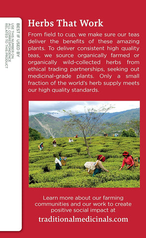 Traditional Medicinal Echinacea Plus, 16 Teabags