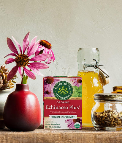 Traditional Medicinal Echinacea Plus, 16 Teabags