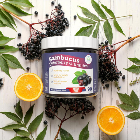 Purify Life Sambucus Sugar-Free Elderberry Gummies 90