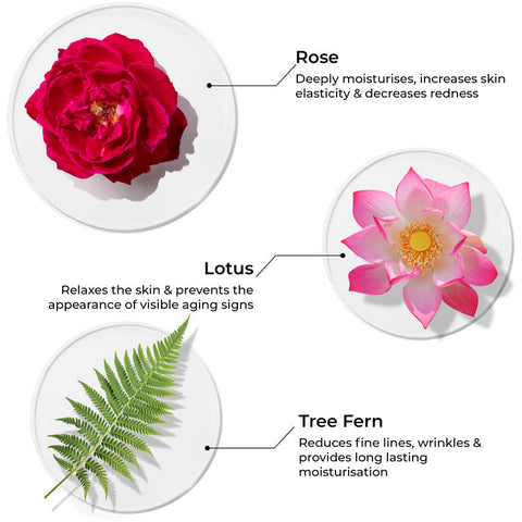 Brillaire Age Revival Moisturiser 50Ml