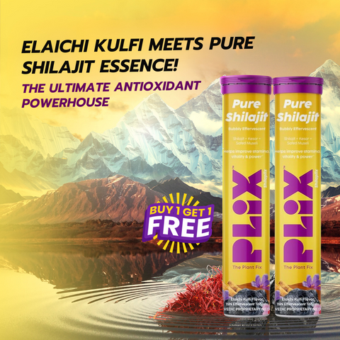 PLIX Pure Shilajit Elaichi Kulfi Flavour 15 Effervescent Tablets (Buy one get one