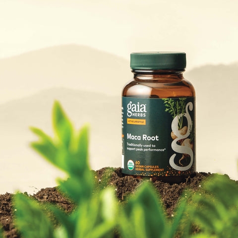 GAIA HERBS MACA ROOT 60 caps