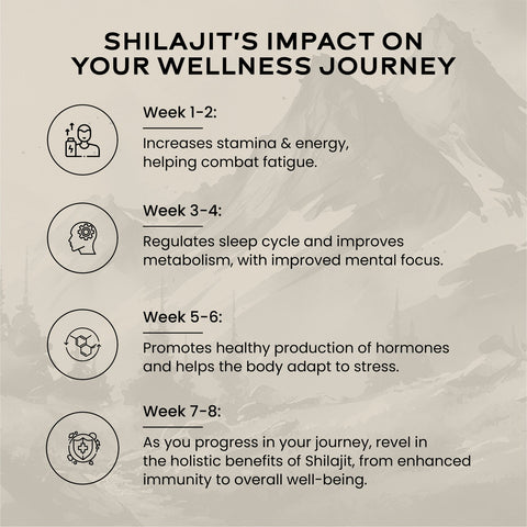 Wellbeing Nutrition Shilajit Gold 10gms