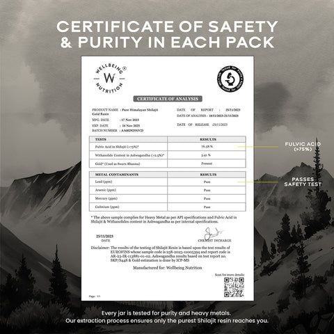 Wellbeing Nutrition Shilajit Gold 10gms