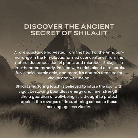 Wellbeing Nutrition Shilajit Silver 10gms